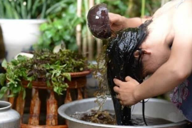 Loại lá xưa có đầy không ai hái, giờ được chị em nội trợ ưa chuộng