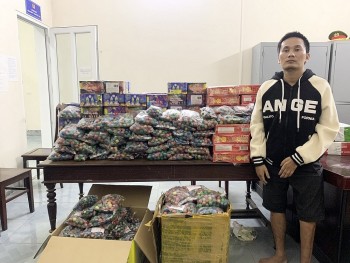 Phá đường dây buôn bán pháo nổ từ TPHCM về Hà Tĩnh