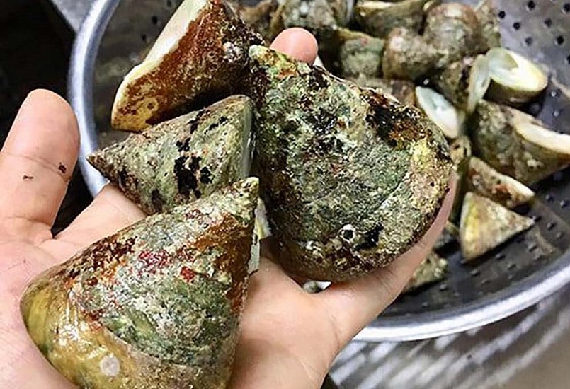 Đặc sản ốc vú nàng ở Côn Đảo (Tỉnh Bà Rịa - Vũng Tàu)