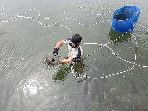 Trong 28 tỉnh, thành phố có biển, Khánh Hòa có điều kiện về môi trường, khí hậu rất thuận lợi để phát triển nuôi biển. Đây cũng là một trong các tỉnh hiện đang dẫn đầu cả nước về nuôi biển Trong 28 tỉnh, thành phố có biển, Khánh Hòa có điều kiện về môi trường, khí hậu rất thuận lợi để phát triển nuôi biển. Đây cũng là một trong các tỉnh hiện đang dẫn đầu cả nước về nuôi biển