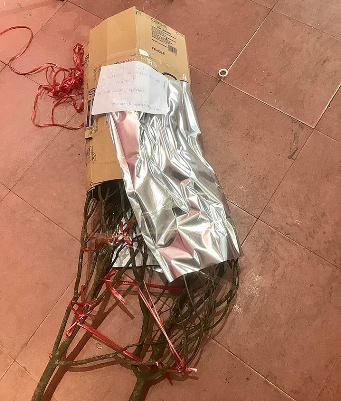 Giá trị cành đào nằm ở dáng, thế, kích thước và nụ nhiều. Giá trị cành đào nằm ở dáng, thế, kích thước và nụ nhiều.