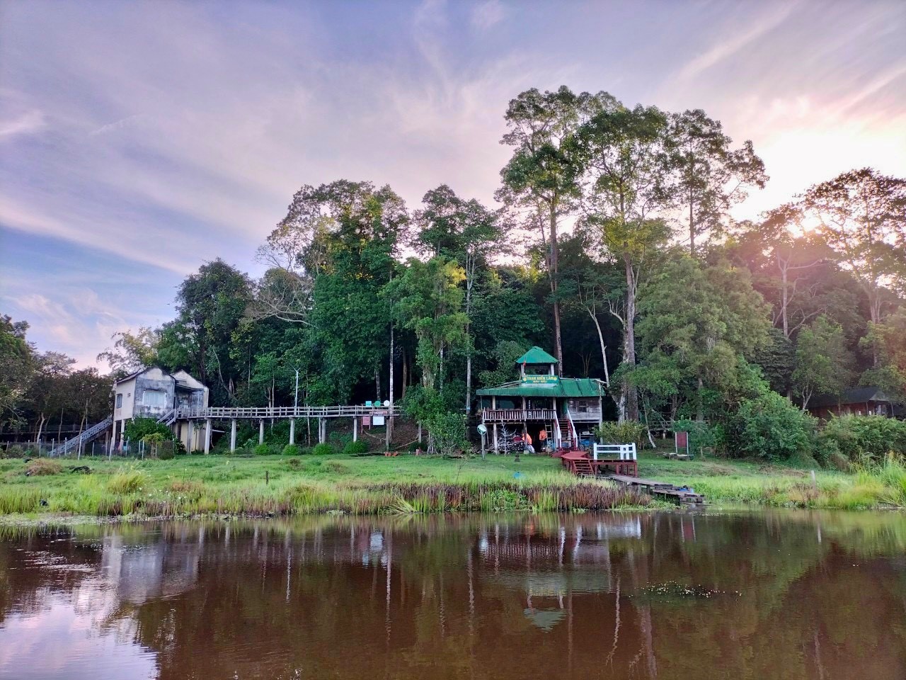 Bàu Sấu – Vùng đất “hồi sinh” cá sấu nước ngọt tưởng chừng tuyệt chủng tại Việt Nam