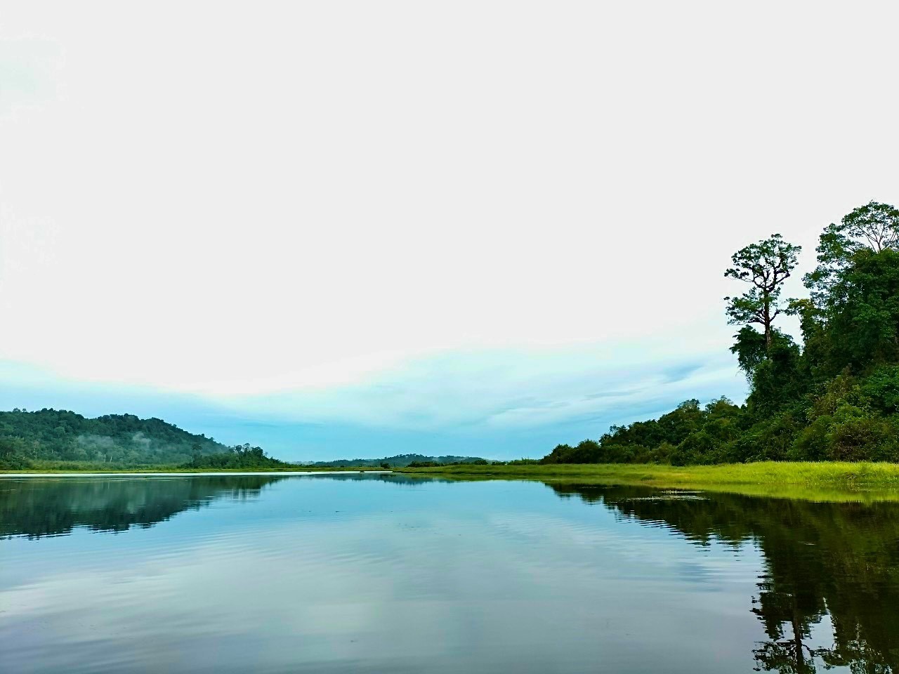 Bàu Sấu – Vùng đất “hồi sinh” cá sấu nước ngọt tưởng chừng tuyệt chủng tại Việt Nam
