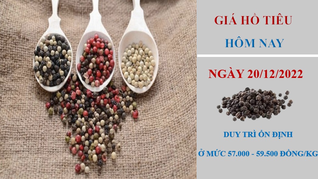 Giá hồ tiêu hôm nay 23/12/2022: Duy trì mức ổn định