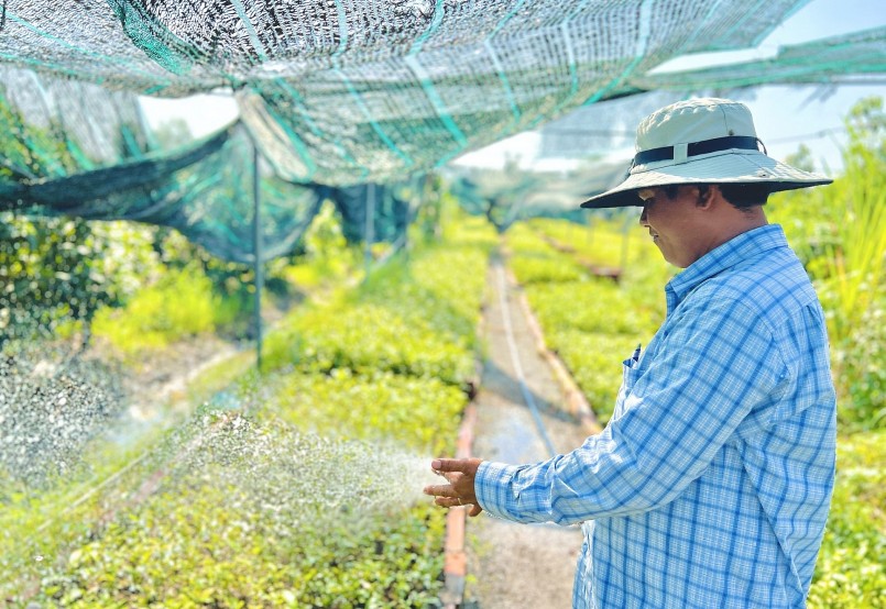 Theo những người nông dân ở Bình Lợi, trồng mai quan trọng nhất là sự tỉ mỉ, chăm sóc, bắt bệnh từ kinh nghiệm, kiến thức tự học hỏi. Theo những người nông dân ở Bình Lợi, trồng mai quan trọng nhất là sự tỉ mỉ, chăm sóc, bắt bệnh từ kinh nghiệm, kiến thức tự học hỏi.