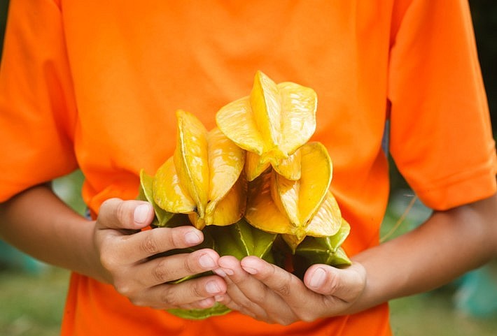 khế sẽ gây tác hại của khế nếu ăn quá nhiều và một số người không nên ăn loại quả này. 