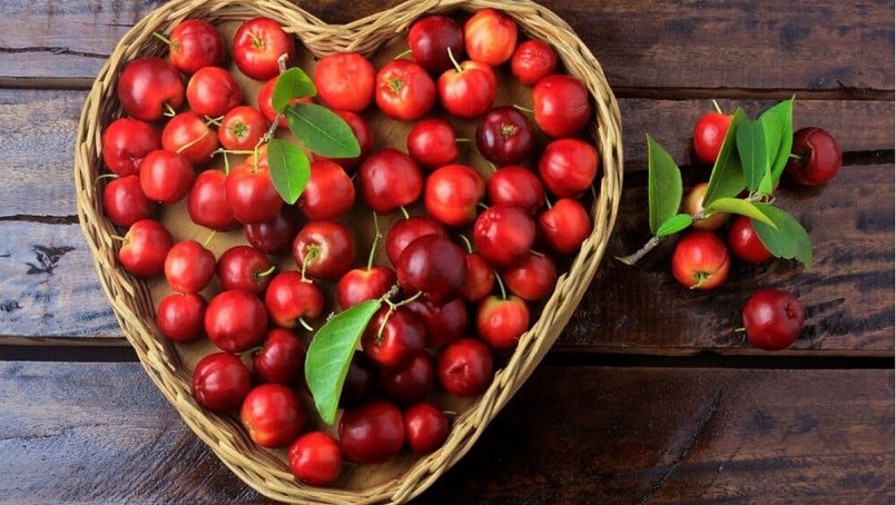 Quả sơ ri được bán khá rẻ ở các chợ