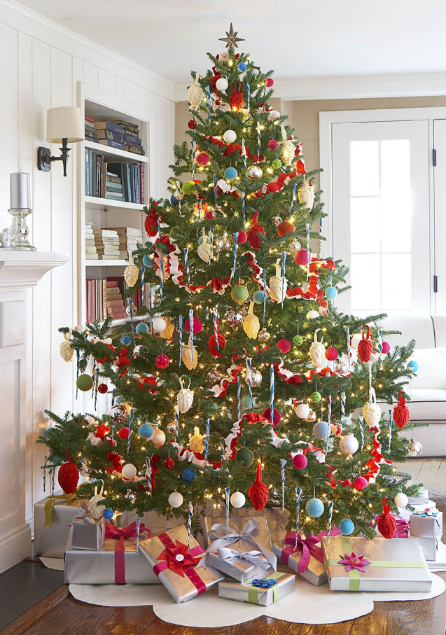 Những loại cây cảnh vừa nhìn đã thấy rộn ràng không khí Noel