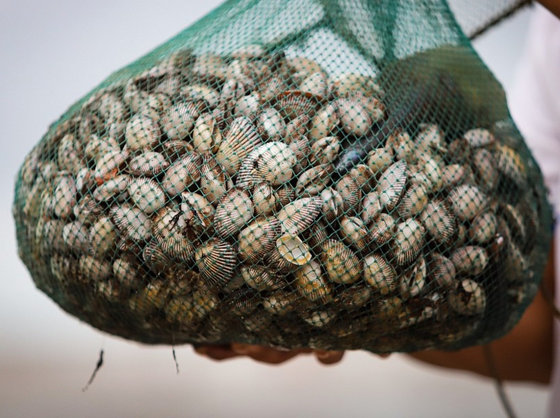 Bình thường, mỗi kg sò lông bán ra với giá 30.000 đồng.