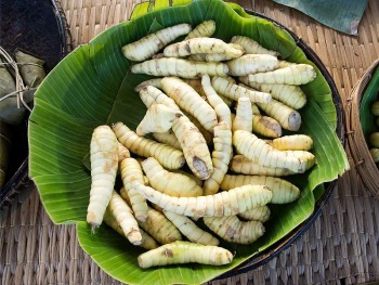 Xưa là củ dùng thay thế gạo, nay là "món quà quê" bổ dưỡng cho sức khoẻ