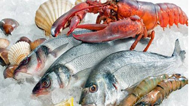 Nhập khẩu thủy sản tăng mạnh