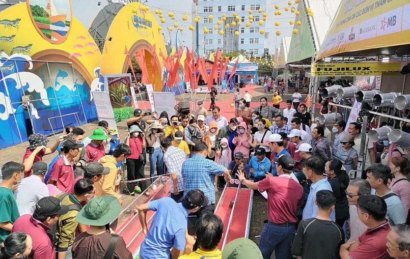 Khán giả xem cua chạy đua đông như xem bóng đá.