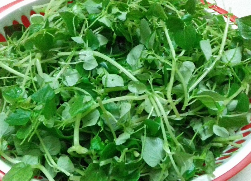 Sử dụng rau càng cua trong mùa Đông rất có lợi cho sức khỏe.