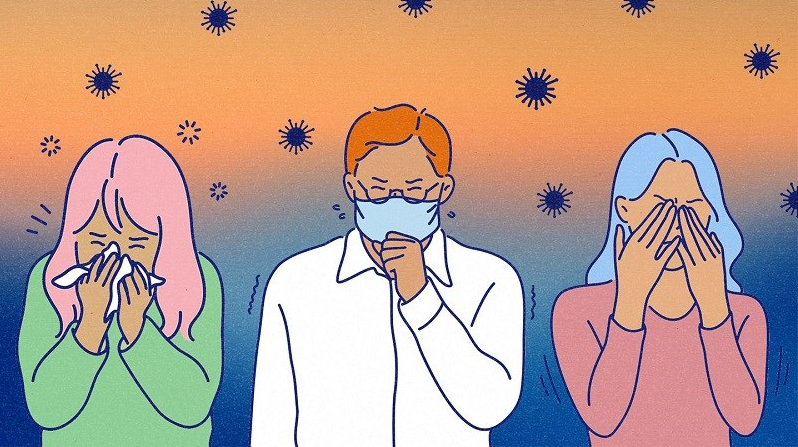 Loại lá Việt Nam có đầy chẳng ai thèm hái, bán ở nước ngoài hơn 6 triệu/kg