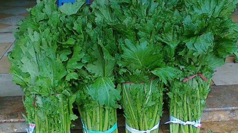 Loại rau có tên lạ trở thành đặc sản nổi tiếng hỗ trợ cải thiện sức khỏe
