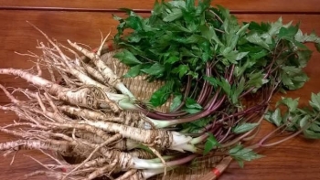 Thứ cây vừa là rau ngon vừa là thuốc quý, còn có thể chăm sóc sắc đẹp