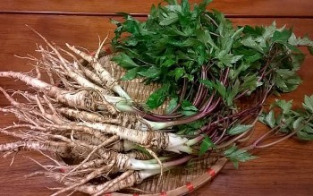 Thứ cây vừa là rau ngon vừa là thuốc quý, còn có thể chăm sóc sắc đẹp