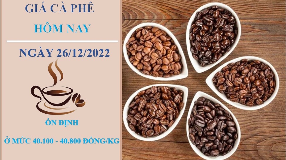 Giá cà phê hôm nay 26/12/2022: Không ghi nhận thay đổi mới
