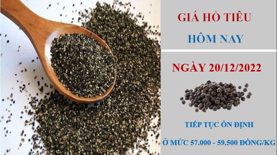 Giá hồ tiêu hôm nay 26/12/2022: Nối dài chuỗi ngày đi ngang