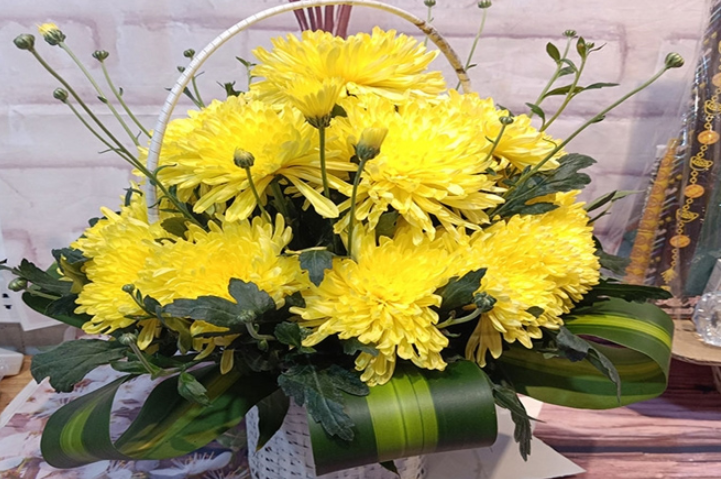 Ý nghĩa chơi hoa Cúc ngày Tết bạn cần biết