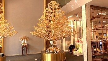 Mãn nhãn với cây “mai lạ” sống 100 tuổi không cần tưới, giá gần 6 tỷ đồng