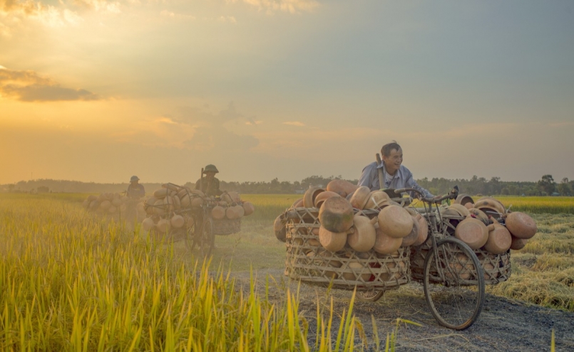 Nồi đất Trù Sơn kho món cá trứ danh đưa cơm ngày Tết Nồi đất Trù Sơn kho món cá trứ danh đưa cơm ngày Tết