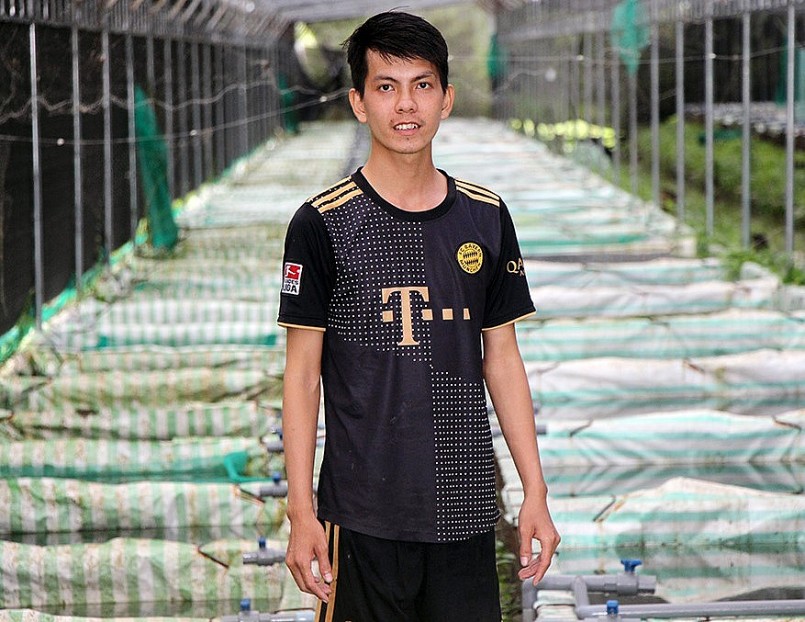 Anh Thanh dồn hết tất cả tiền dành dụm đầu tư nuôi cá bảy màu Full Gold, Platinum.