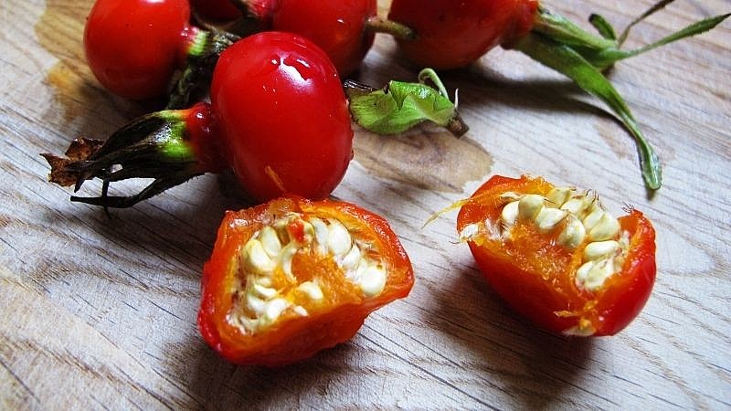 quả tầm xuân nhiều vitamin C gấp 40 lần chanh