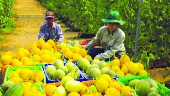 Xuất khẩu nông sản lập kỷ lục mới với hơn 53 tỷ USD