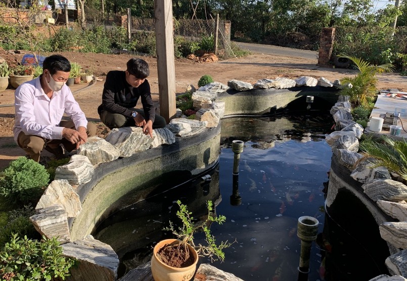 Phạm Thế Hùng tư vấn cách chăm sóc cá Koi cho khách hàng.