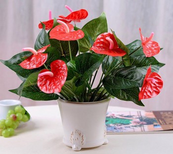 5 loại cây chưng bàn thờ dịp Tết giúp tiền tài ùn ùn kéo đến, gia chủ nghèo đến mấy cũng hoá giàu