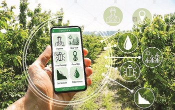 Chuyển đổi số - Giải pháp trọng tâm trong xây dựng nông thôn mới