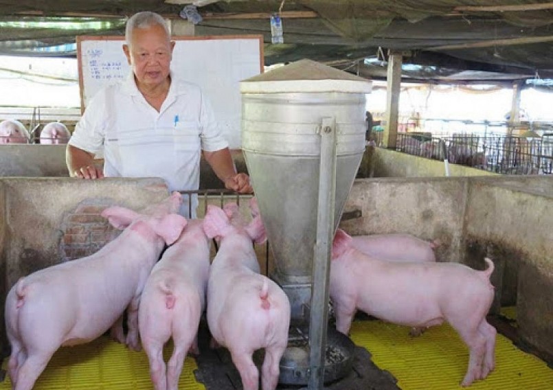 các chuyên gia dự báo giá heo hơi sẽ không tăng đột biến trong khoảng 60.000 đồng/kg vào năm 2023 .