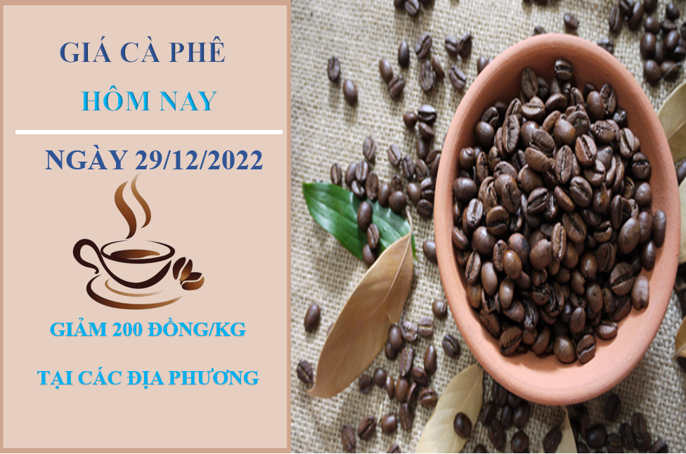 Giá cà phê hôm nay 29/12/2022: