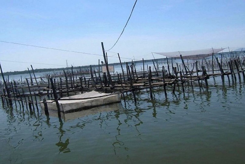 Những hộ nuôi cá lồng bè trên sông hay trong đầm phá cũng khẩn trương áp dụng biện pháp kỹ thuật giữ ấm cho cá trong mùa Đông.