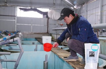 Tuyệt chiêu chống rét cho cá đặc sản trên đỉnh Ô Quý Hồ