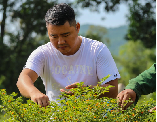 anh Lê Sỹ Tân (SN 1982, xã Thiên Lộc, huyện Can Lộc, Hà Tĩnh) bén duyên với trái ớt Aji Charapita (hay còn gọi là ớt Peru) anh Lê Sỹ Tân (SN 1982, xã Thiên Lộc, huyện Can Lộc, Hà Tĩnh) bén duyên với trái ớt Aji Charapita (hay còn gọi là ớt Peru)