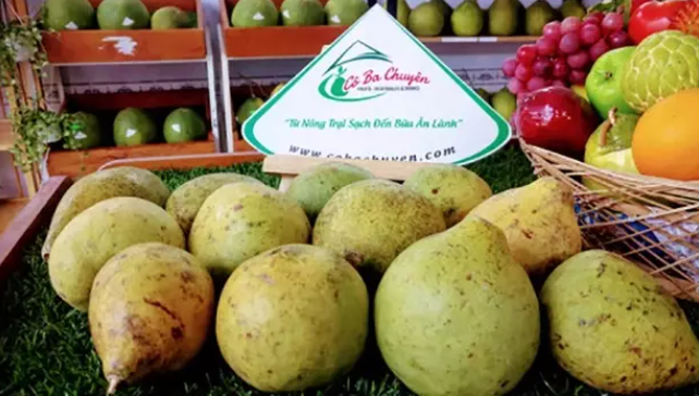 Quả ngâu chín vào tháng Chạp