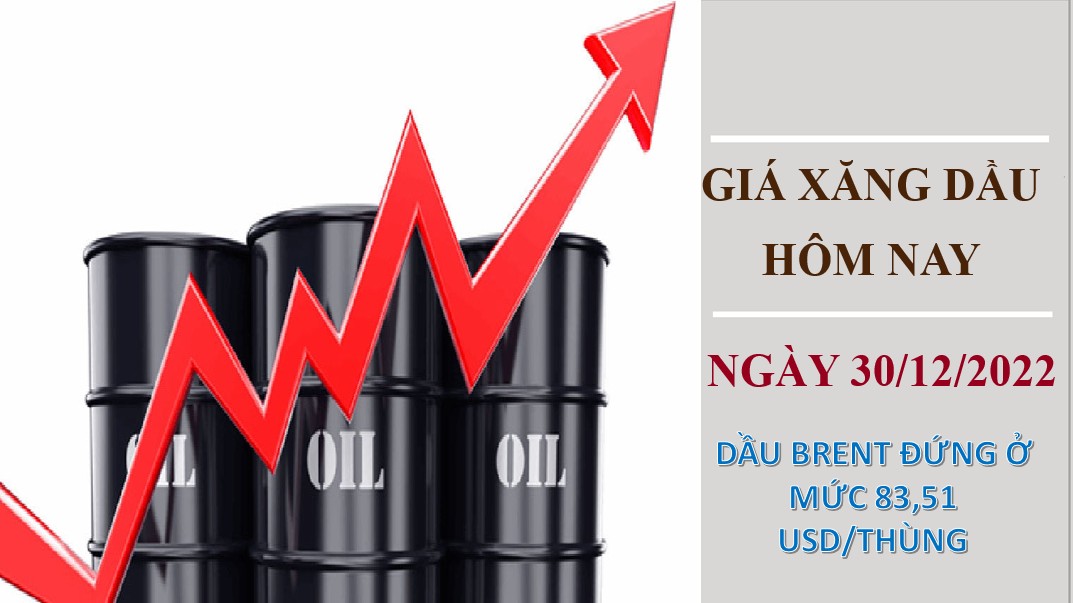 Giá xăng dầu hôm nay 30/12/2022: Giá dầu thô lấy lại đà tăng