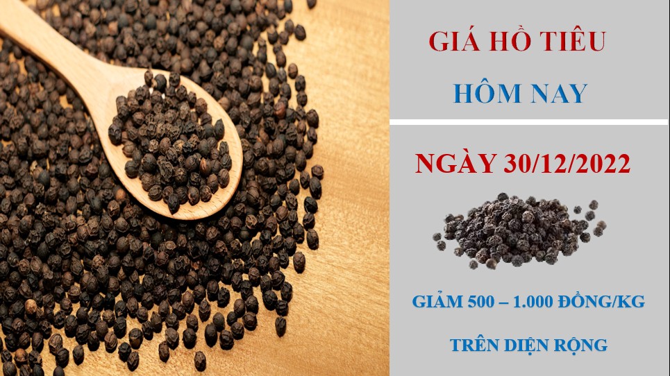 Giá hồ tiêu hôm nay 30/12/2022: Bất ngờ tăng, cán mốc 60.000 đồng/kg