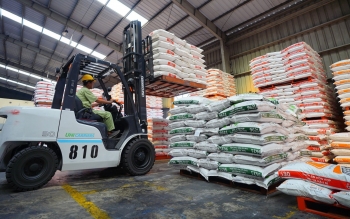 Việt Nam nằm trong Top 10 thế giới về sản xuất thức ăn chăn nuôi, thủy sản