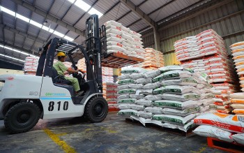 Việt Nam nằm trong Top 10 thế giới về sản xuất thức ăn chăn nuôi, thủy sản