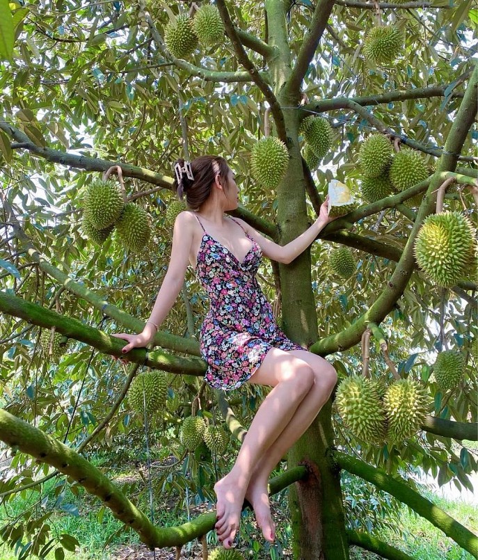 Cô 9x chủ vườn sầu riêng sạch kiêm luôn \'mẫu ảnh\' để giới thiệu vườn sầu riêng nhà mình.