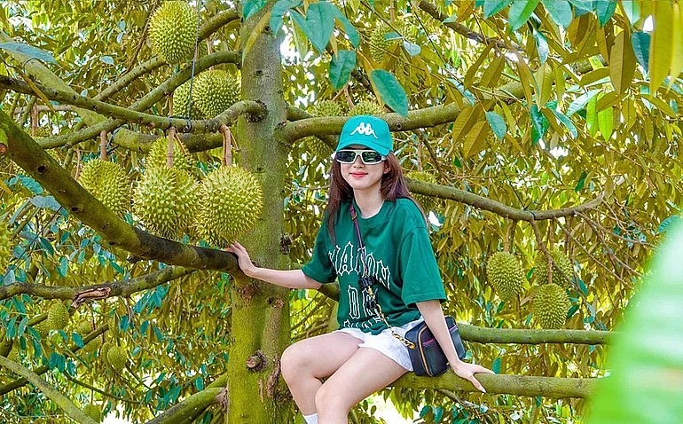 Nhiều du khách thích thú tạo dáng bên những trái sầu riêng sạch.