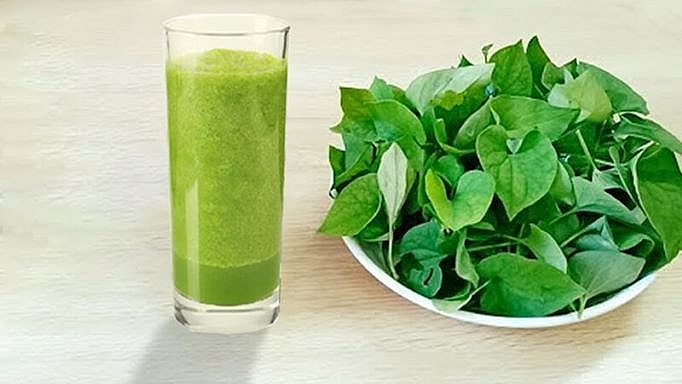 Rau diếp cá giúp hạ sốt rất tốt