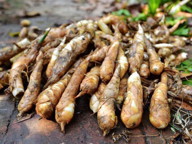 Loại củ xấu xí nhưng lại chứa thành phần dinh dưỡng cực cao