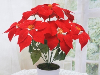 Áp dụng bí quyết này, bông hoa hiển vinh quyền thế sẽ bung nở trong nhà bạn trong ngày Tết