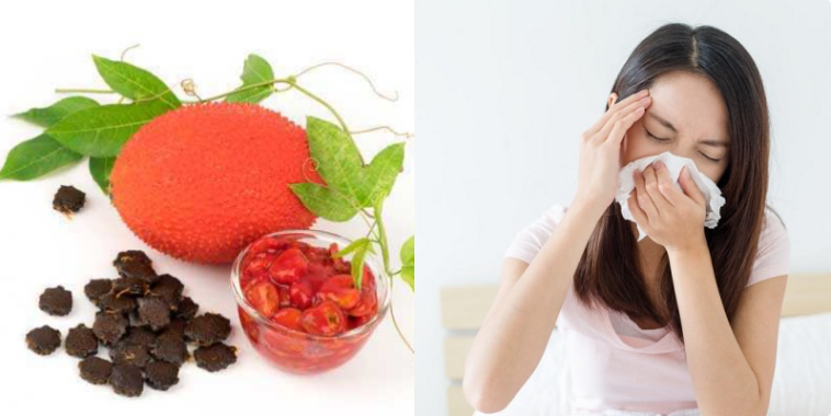 hạt gấc có công dụng chữa viêm xoang rất tốt và hiệu quả.