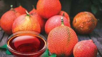 Hạt gấc giúp hỗ trợ điều trị nám rất tốt