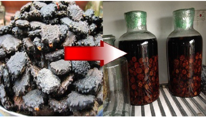 Hạt gấc ngâm rượu